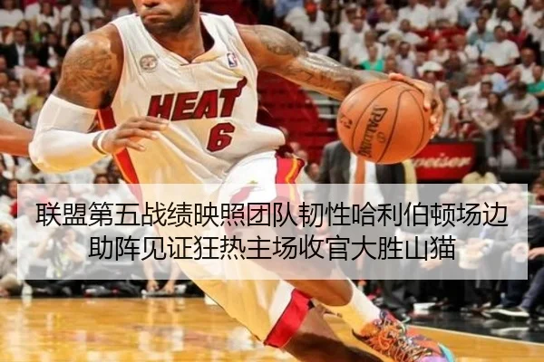 联盟第五战绩映照团队韧性哈利伯顿场边助阵见证狂热主场收官大胜山猫